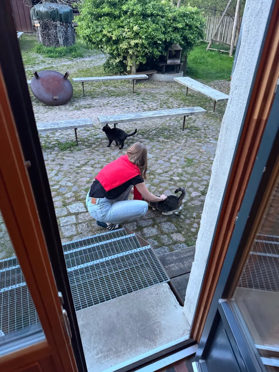 Eine Kollegin streichelt die Hofkatze