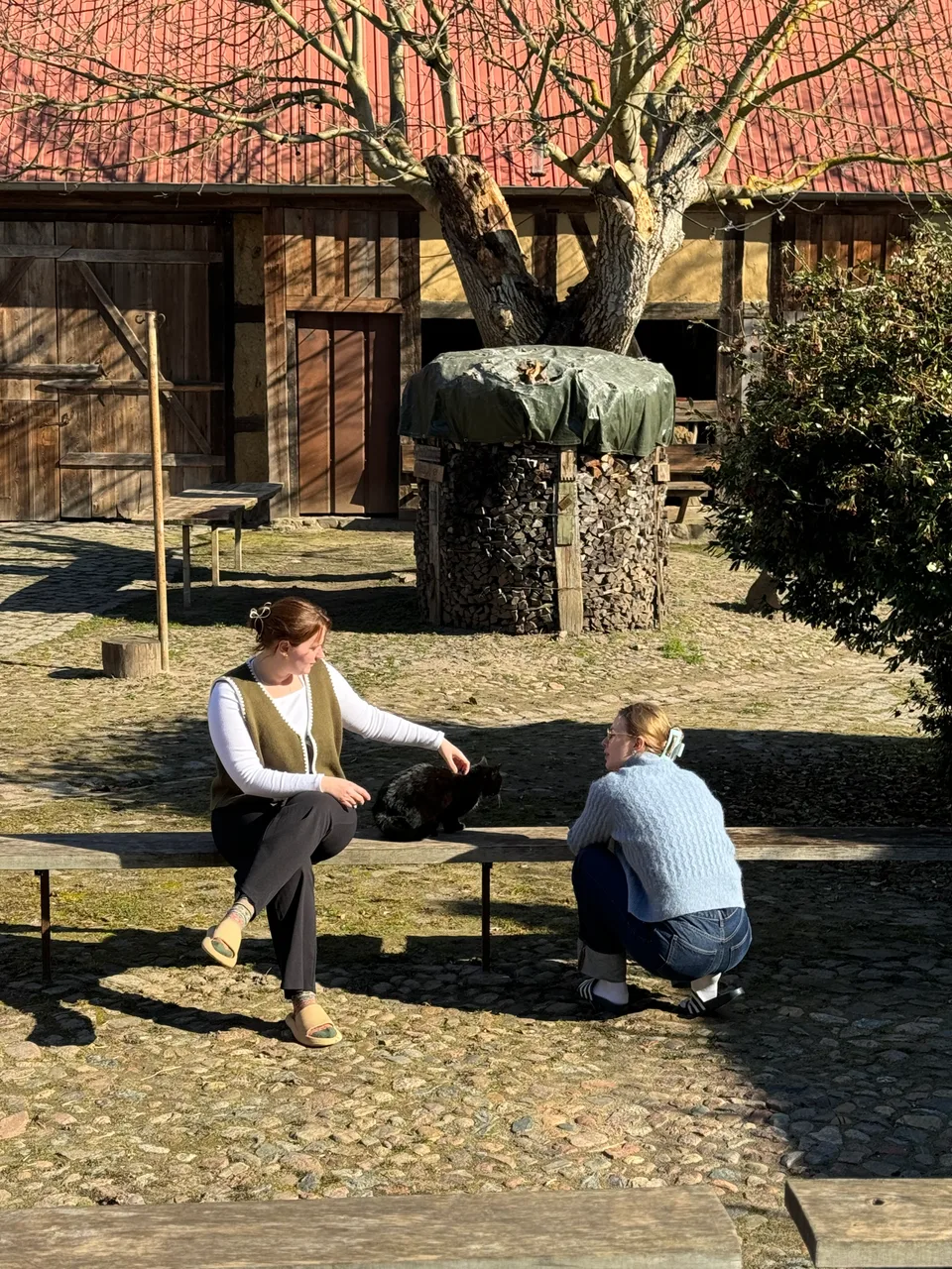 Pause in der Frühlingssonne mit Hofkatze