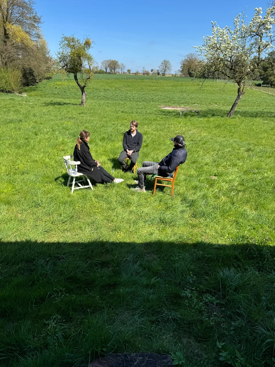 Gespräch zu dritt auf Stühlen in der Frühlingswiese